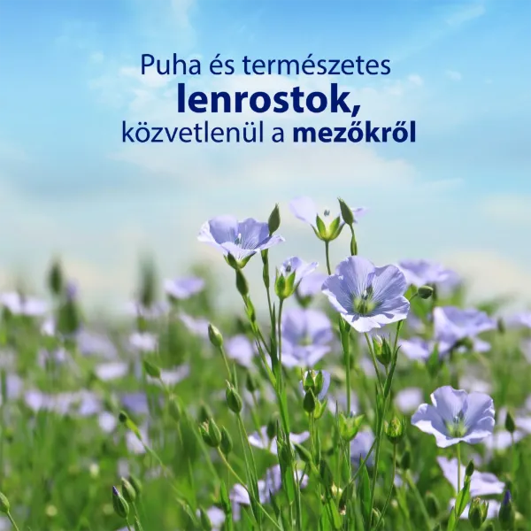 Zewa Natural Aloe nedves toalettpapír 42 db termékhez kapcsolódó kép