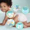 Pampers Premium Care, Méret: 3, 60 Pelenka, 6kg-10kg termékhez kapcsolódó kép