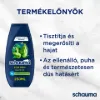 Schauma férfi sampon 250 ml termékhez kapcsolódó kép
