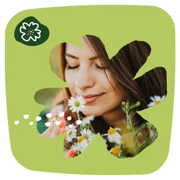 Naturella Light Kamilla Tisztasági Betét X52 termékhez kapcsolódó kép