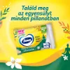 Zewa Mindful Balance illatosított nedves toalettpapír 42 db termékhez kapcsolódó kép