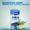Gillette Eucalyptus Scent Izzadásgátló Hidratáló Gél Férfiaknak, 70 ml termékhez kapcsolódó kép