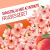 Ajax Fête des Fleurs Barackvirág általános felülettisztítószer 1000 ml termékhez kapcsolódó kép
