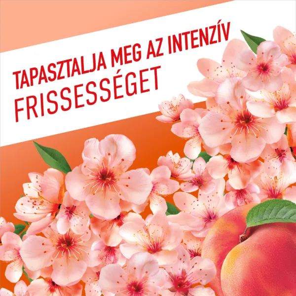 Ajax Fête des Fleurs Barackvirág általános felülettisztítószer 1000 ml termékhez kapcsolódó kép