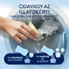 Lenor Könnyed, Mosáshoz Adható Illatfokozó Parfümgyöngyök 195g, Cotton Fresh termékhez kapcsolódó kép