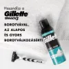 Gillette Classic Sensitive Borotvahab, Érzékeny Bőrre, 250 ml termékhez kapcsolódó kép