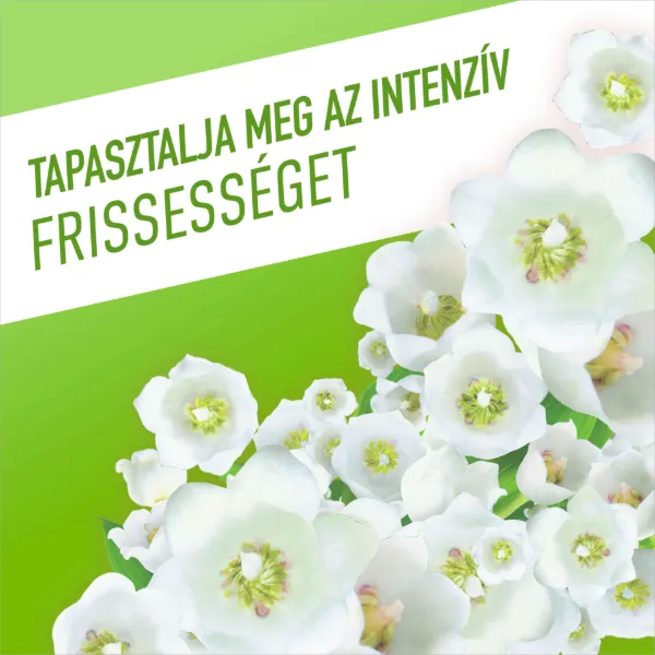 Ajax Flower Fiesta Tavaszi virágok Zöld általános tisztítószer 1000 ml termékhez kapcsolódó kép
