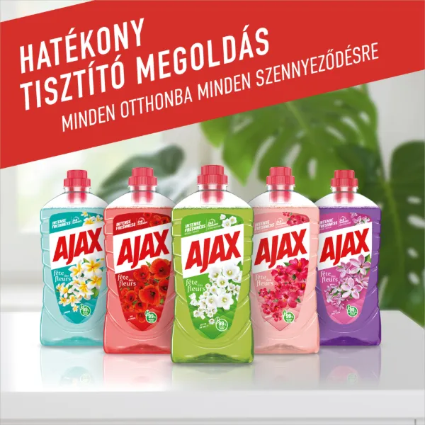 Ajax Flower Fiesta Tavaszi virágok Zöld általános tisztítószer 1000 ml termékhez kapcsolódó kép