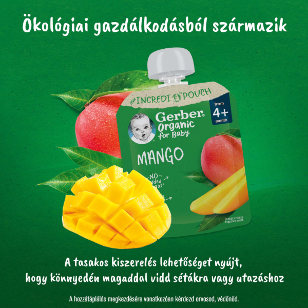 GERBER ORGANIC GYUMOLCSPURE MANGO 4+ HO 80 g termékhez kapcsolódó kép