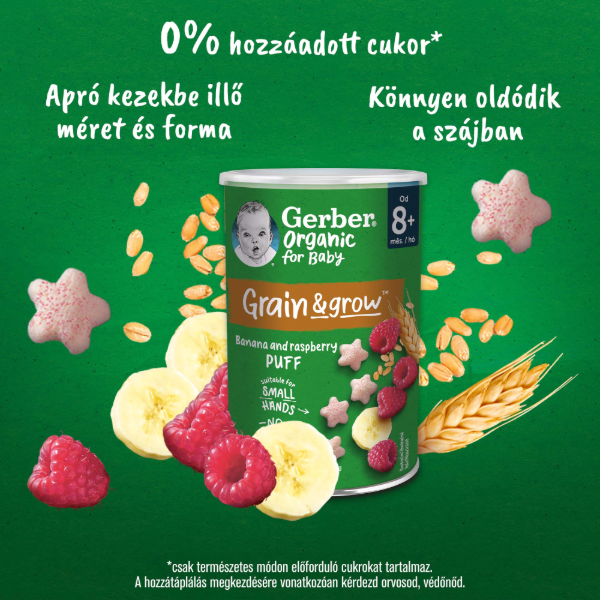 GERBER BIO GAB. SNACK BANAN MALNA 8+ HO 35 g termékhez kapcsolódó kép