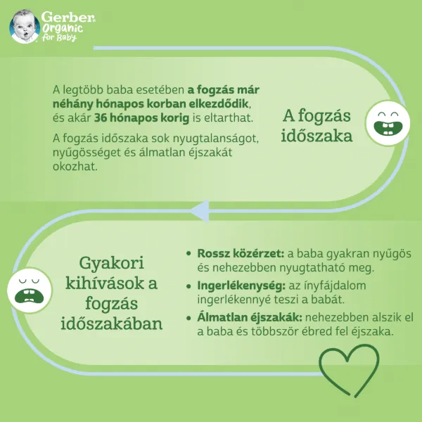 GERBER ORG. CW BIO GABONASCNACK BANANOS 28 g termékhez kapcsolódó kép
