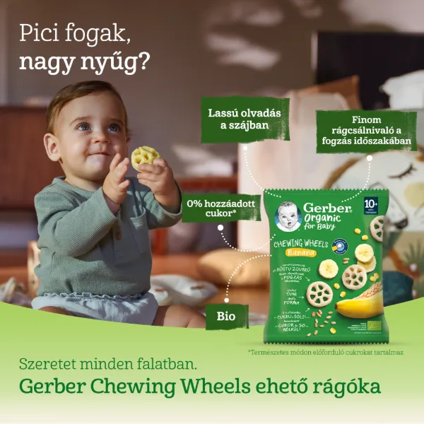 GERBER ORG. CW BIO GABONASCNACK BANANOS 28 g termékhez kapcsolódó kép