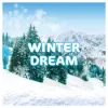 Ariel mosókapsz. Winter Dream limited 60 db termékhez kapcsolódó kép